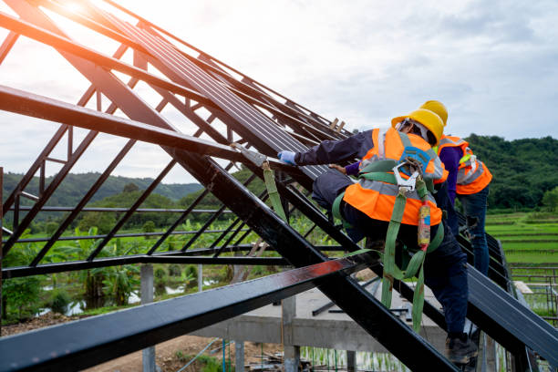 Best Residential Roofing Contractor  in Novato, CA
