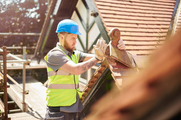 Best New Roof Installation  in Novato, CA