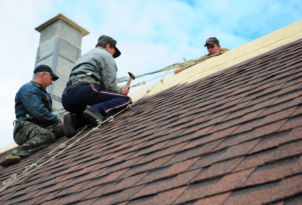 Best Roof Repair Services  in Novato, CA
