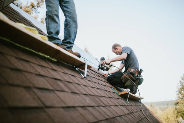 Best Residential Roofing Contractor  in Novato, CA